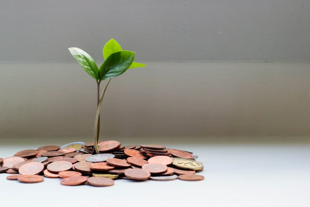 ¿Cuánto cuesta un seguro de vida? Guía de precios 2026