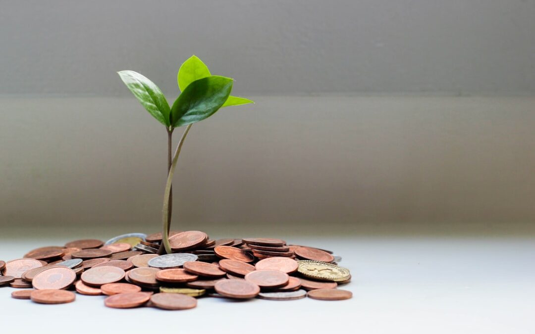 ¿Cuánto cuesta un seguro de vida? Guía de precios 2026
