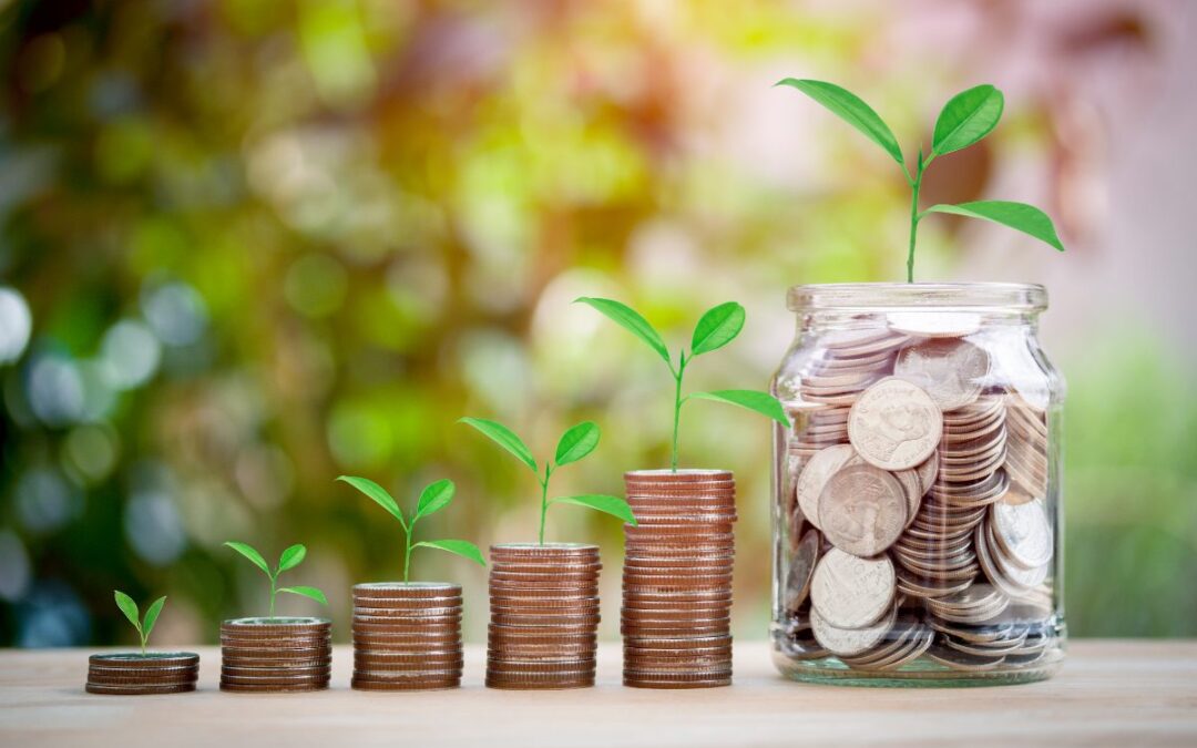 Plan de pensiones vs seguro de vida ahorro: diferencias
