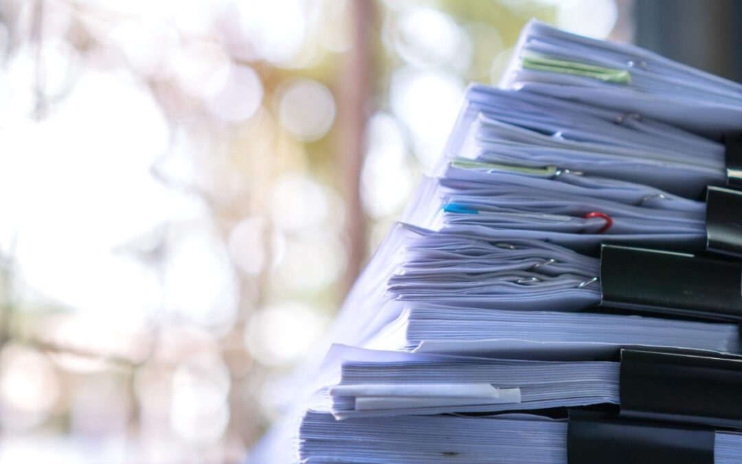 Tipos de seguros de vida: ¿cuál te conviene?